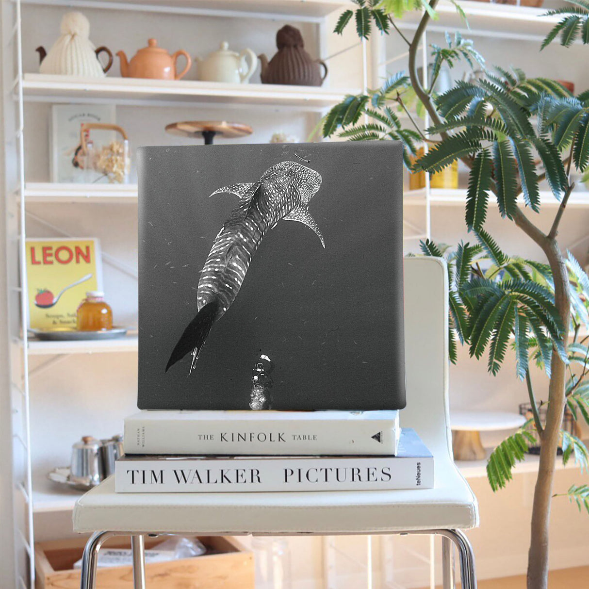 楠哲也氏が撮影したインテリア小物|水中 壁掛け アート kus-0001 - ArtDeli. アートパネル専門店