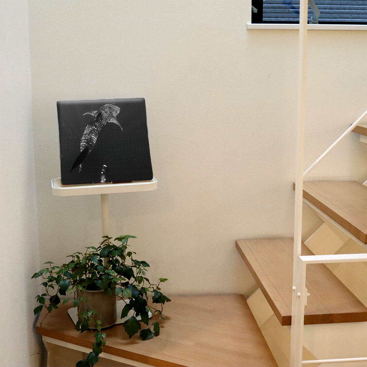 楠哲也氏が撮影したインテリア小物|水中 壁掛け アート kus-0001 - ArtDeli. アートパネル専門店