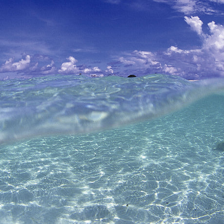 楠哲也氏が撮影したインテリア小物|水中 一人暮らし インテリア kus-0002 - ArtDeli. アートパネル専門店