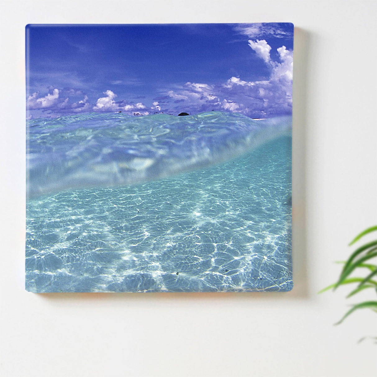 楠哲也氏が撮影したインテリア小物|水中 一人暮らし インテリア kus-0002 - ArtDeli. アートパネル専門店