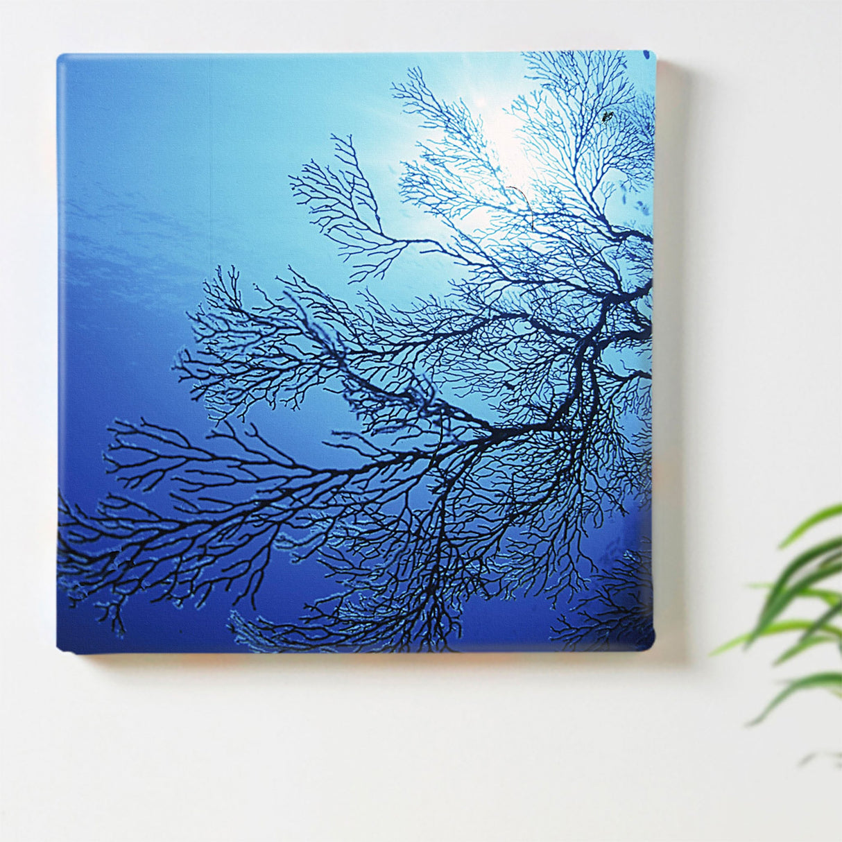 楠哲也氏が撮影したインテリア小物|水中 ポスター アート kus-0003 - ArtDeli. アートパネル専門店