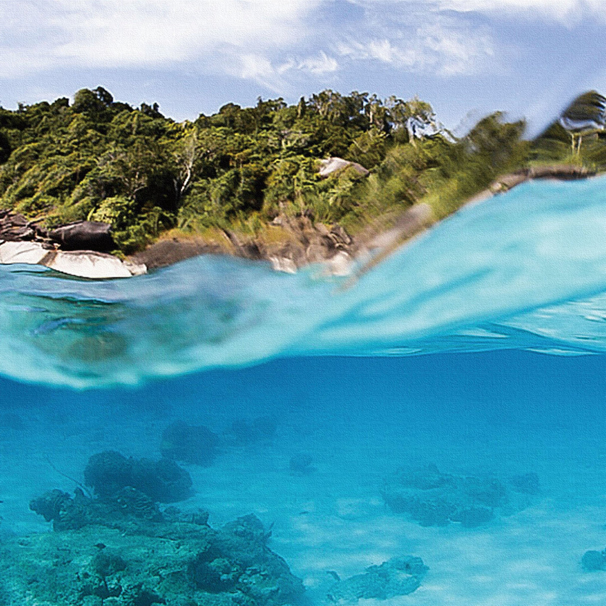 楠哲也氏が撮影したインテリア小物|水中 インテリア アート kus-0004 - ArtDeli. アートパネル専門店