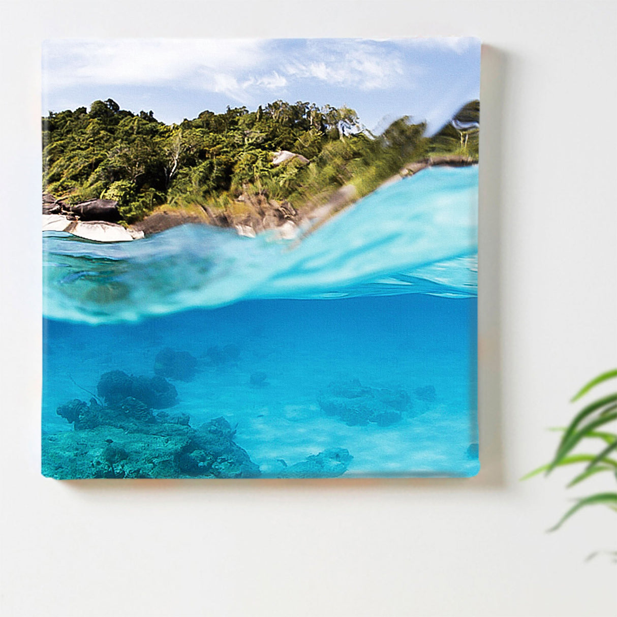 楠哲也氏が撮影したインテリア小物|水中 インテリア アート kus-0004 - ArtDeli. アートパネル専門店