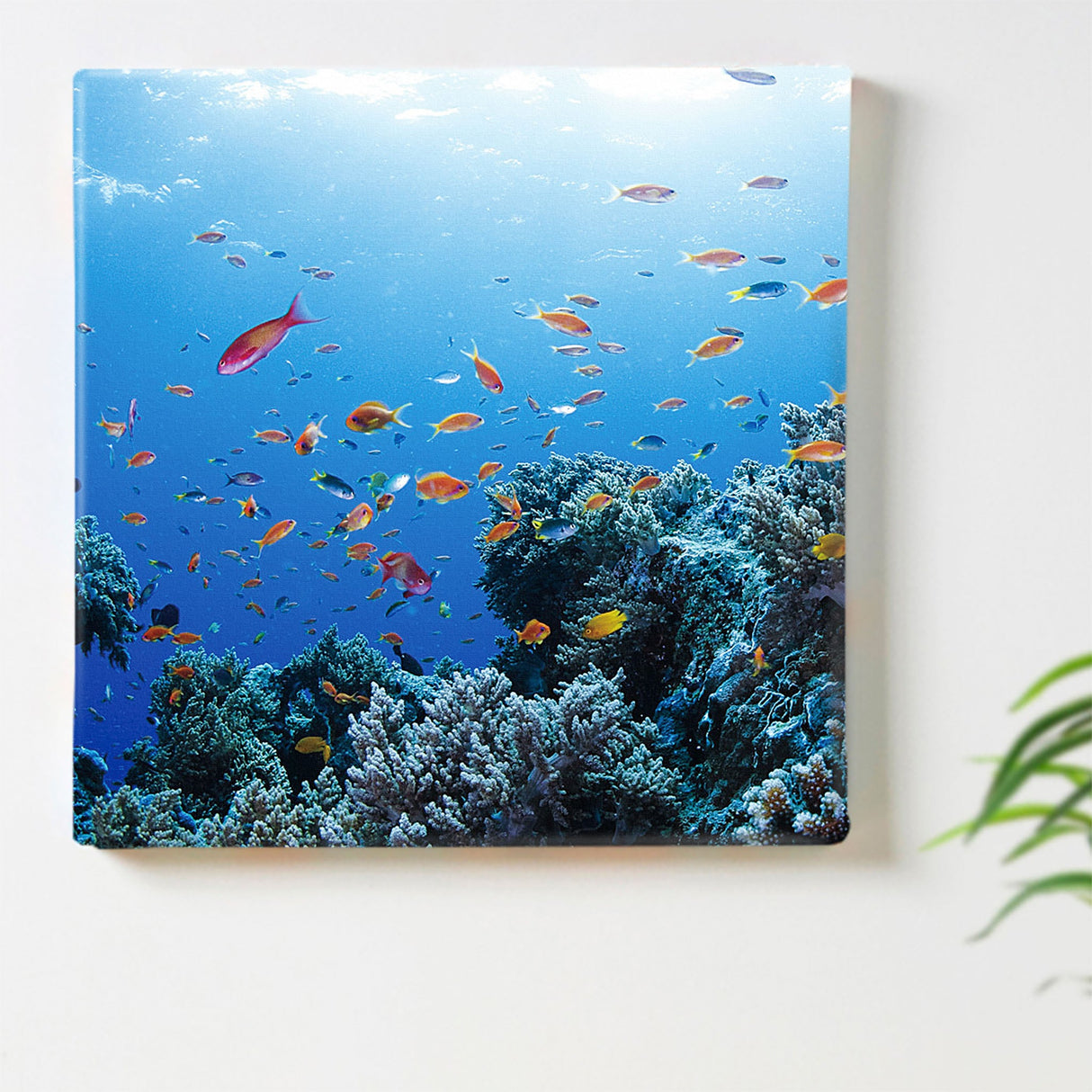 楠哲也氏が撮影したインテリア小物|三陸ボランティア 写真 アート kus-0005 - ArtDeli. アートパネル専門店