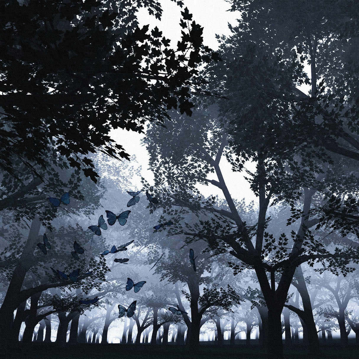 毛利孝夫のアートボード 写真 アート mor-0006 - ArtDeli. アートパネル専門店