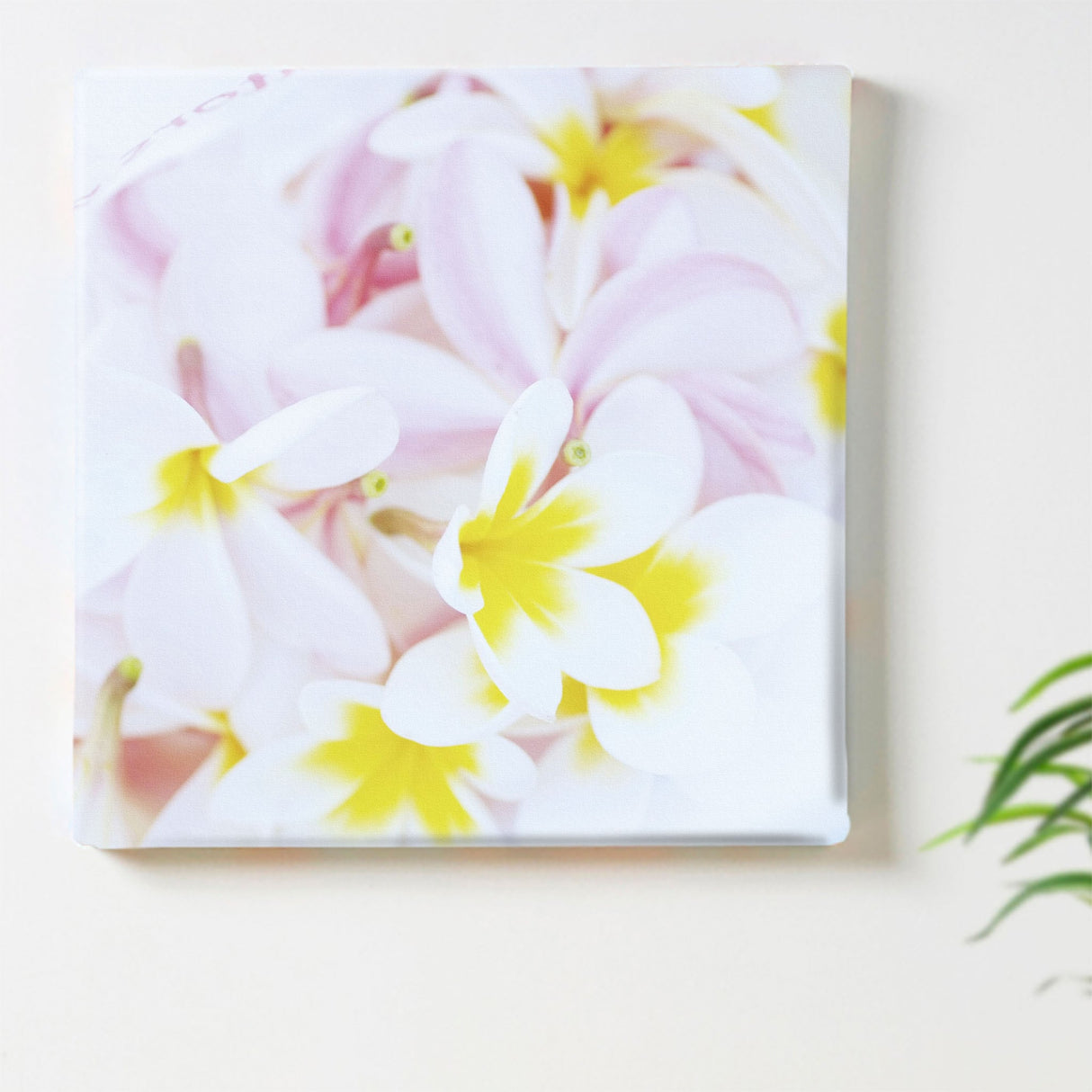 うみカメラマン「むらいさち」のファブリックパネル|花 インテリア 雑貨 mur-0001 - ArtDeli. アートパネル専門店