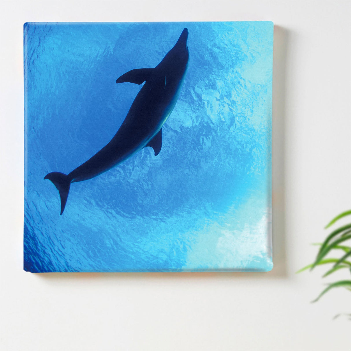 うみカメラマン「むらいさち」のファブリックパネル|イルカ アート 雑貨 mur-0002 - ArtDeli. アートパネル専門店