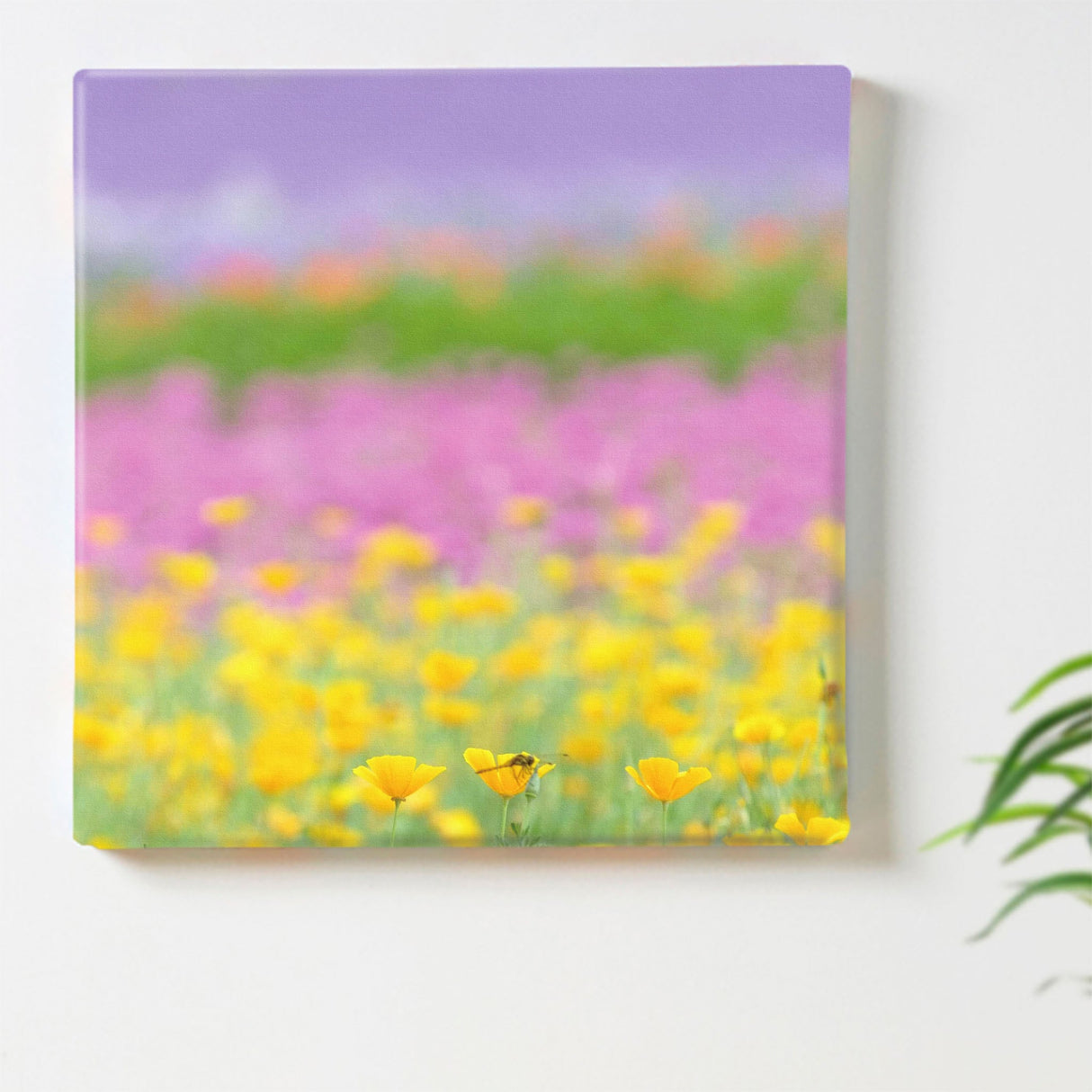 うみカメラマン「むらいさち」のファブリックパネル|花 壁掛け アート mur-0003 - ArtDeli. アートパネル専門店