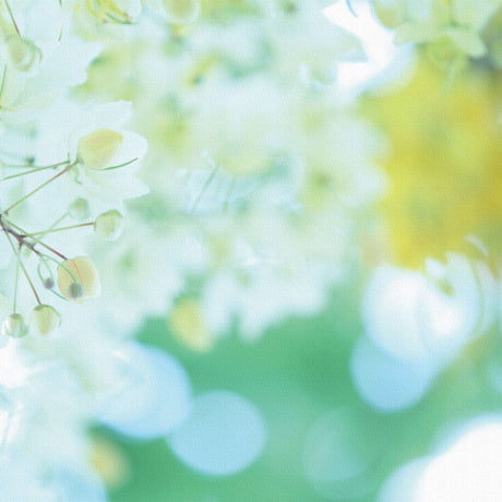 うみカメラマン「むらいさち」のファブリックパネル|花 ポスター アート mur-0005 - ArtDeli. アートパネル専門店