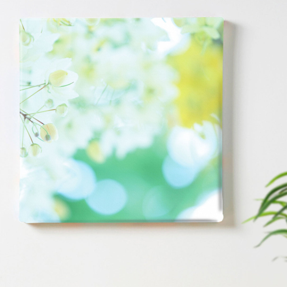 うみカメラマン「むらいさち」のファブリックパネル|花 ポスター アート mur-0005 - ArtDeli. アートパネル専門店