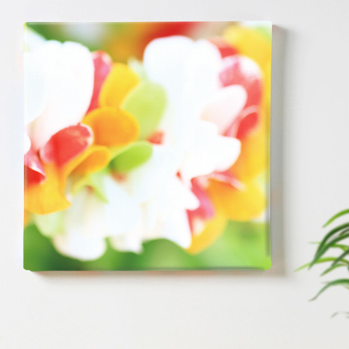 うみカメラマン「むらいさち」のファブリックパネル|花 インテリア アート mur-0006 - ArtDeli. アートパネル専門店