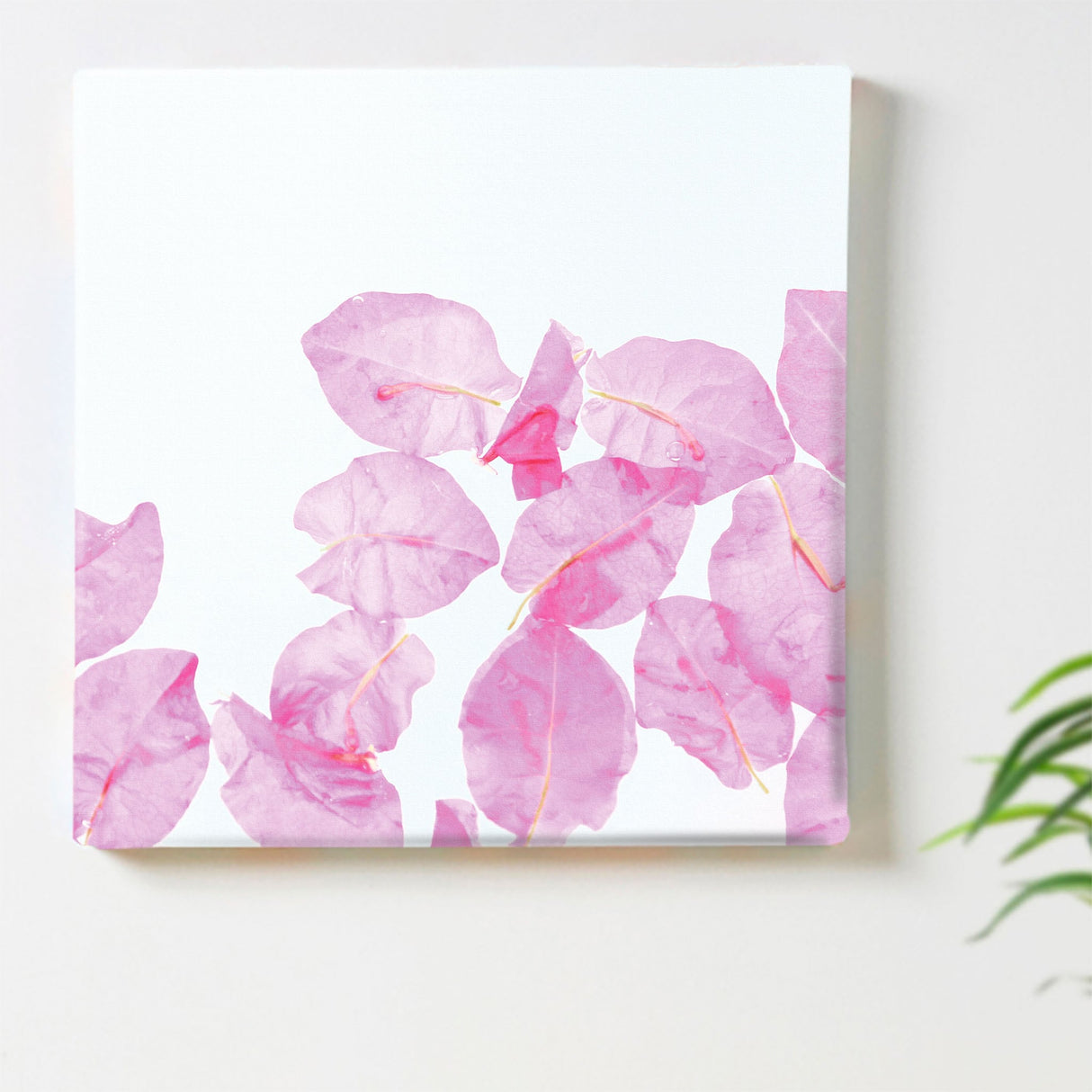 うみカメラマン「むらいさち」のファブリックパネル|花 写真 壁掛け mur-0008 - ArtDeli. アートパネル専門店