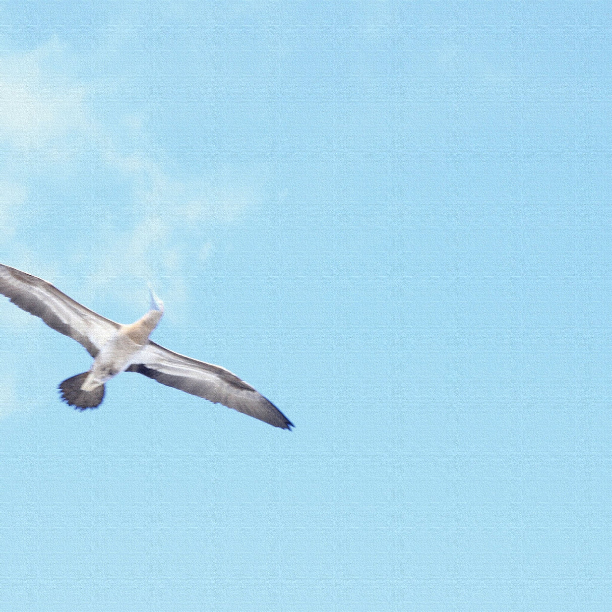 うみカメラマン「むらいさち」のファブリックパネル|青空 アート 雑貨 mur-0010 - ArtDeli. アートパネル専門店