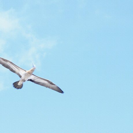 うみカメラマン「むらいさち」のファブリックパネル|青空 アート 雑貨 mur-0010 - ArtDeli. アートパネル専門店