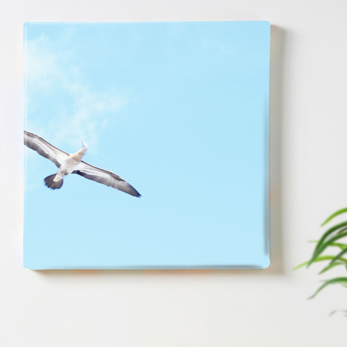 うみカメラマン「むらいさち」のファブリックパネル|青空 アート 雑貨 mur-0010 - ArtDeli. アートパネル専門店