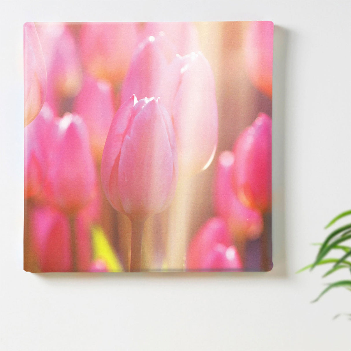 チューリップのファブリックボード インテリア雑貨 アートパネル キャンバス 花 ピンク nori-2005-002 - ArtDeli. アートパネル専門店