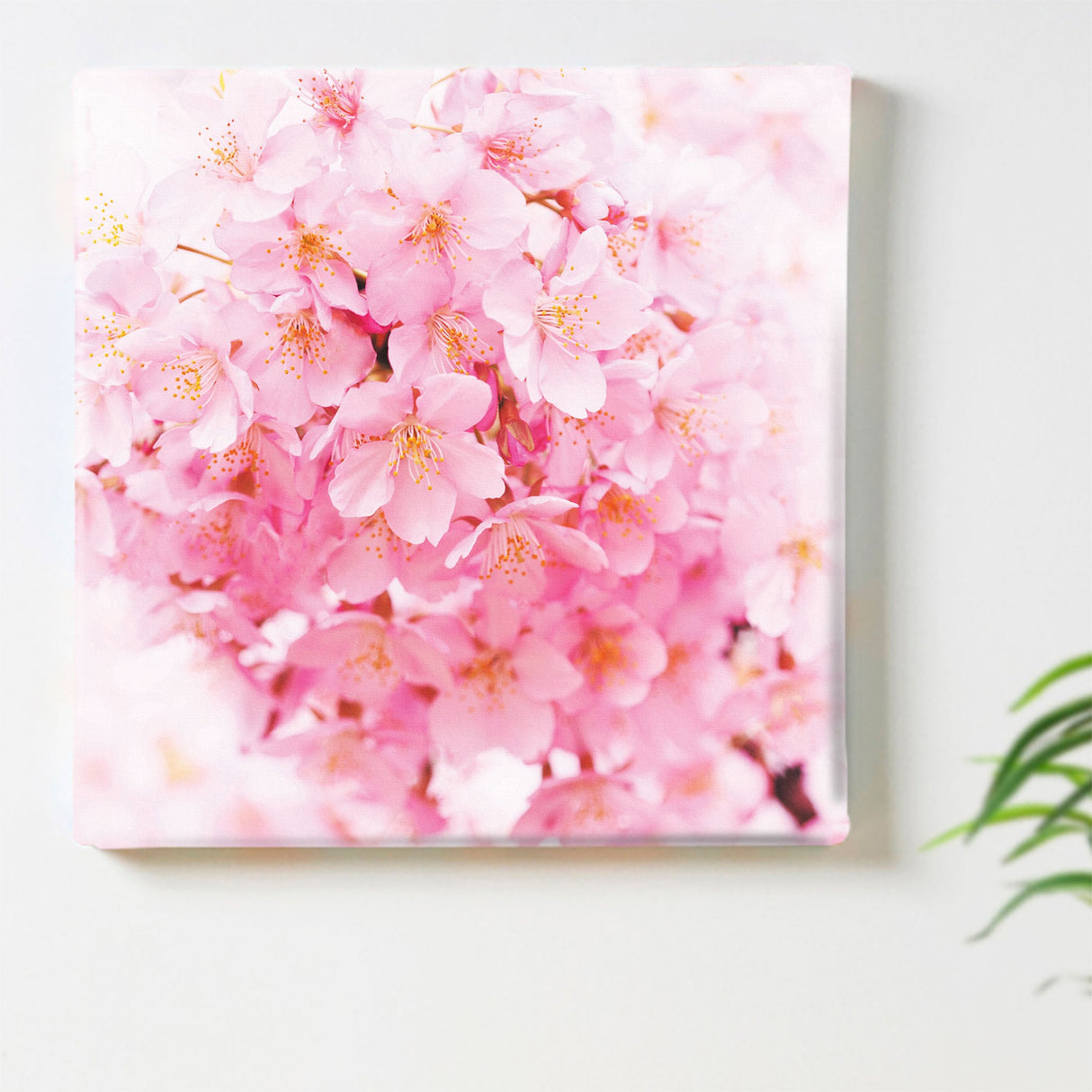 桜のファブリックパネル インテリア雑貨 アートパネル キャンバス 花 ピンク nori-2005-003 - ArtDeli. アートパネル専門店
