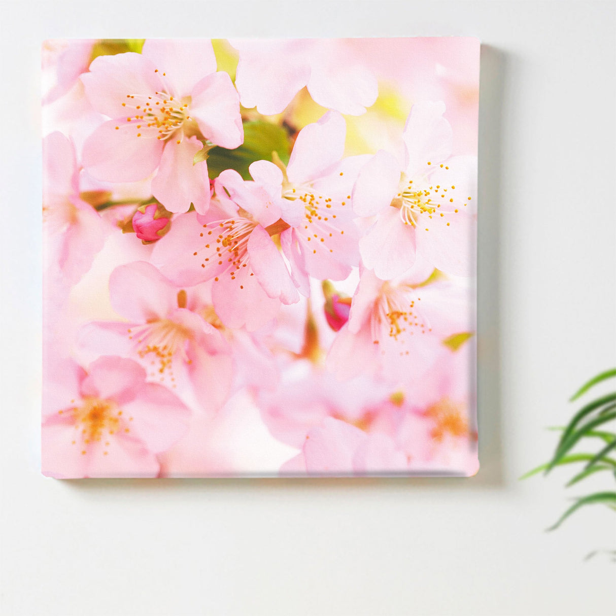 桜のファブリックパネル インテリア雑貨 アートパネル キャンバス 花 ピンク nori-2005-005 - ArtDeli. アートパネル専門店