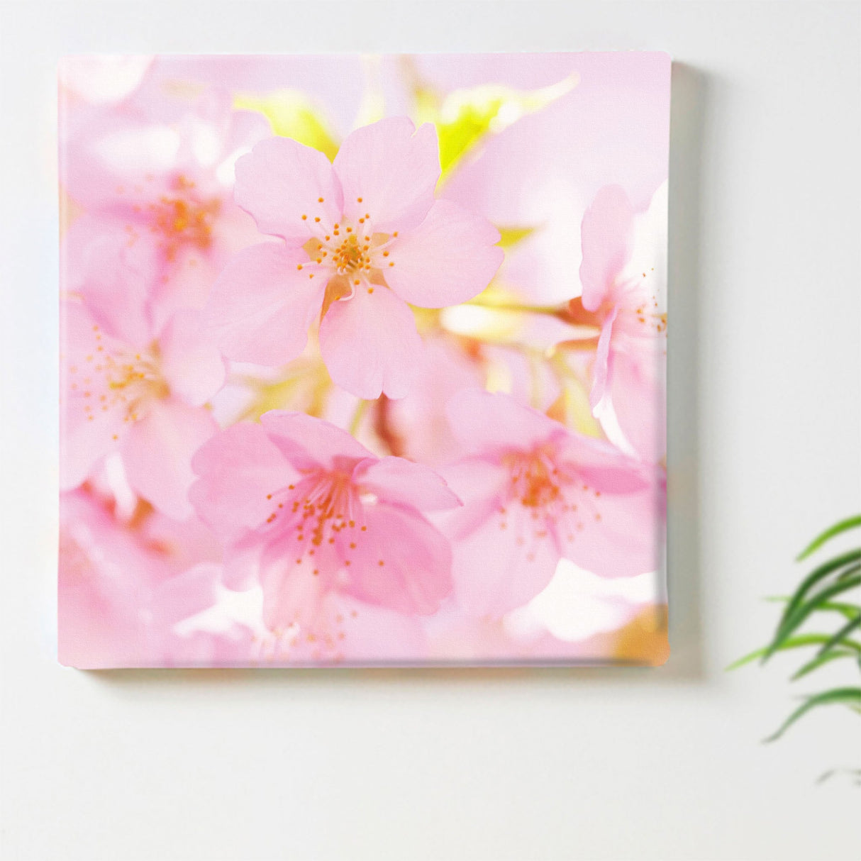 桜のファブリックパネル インテリア雑貨 アートパネル キャンバス 花 ピンク nori-2005-006 - ArtDeli. アートパネル専門店