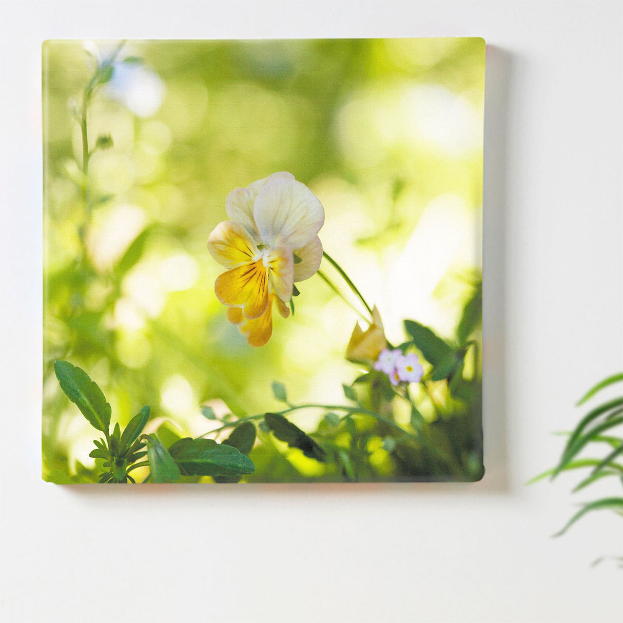 ビオラのアートパネル インテリア雑貨 アートパネル キャンバス 花 グリーン nori-2005-007 - ArtDeli. アートパネル専門店