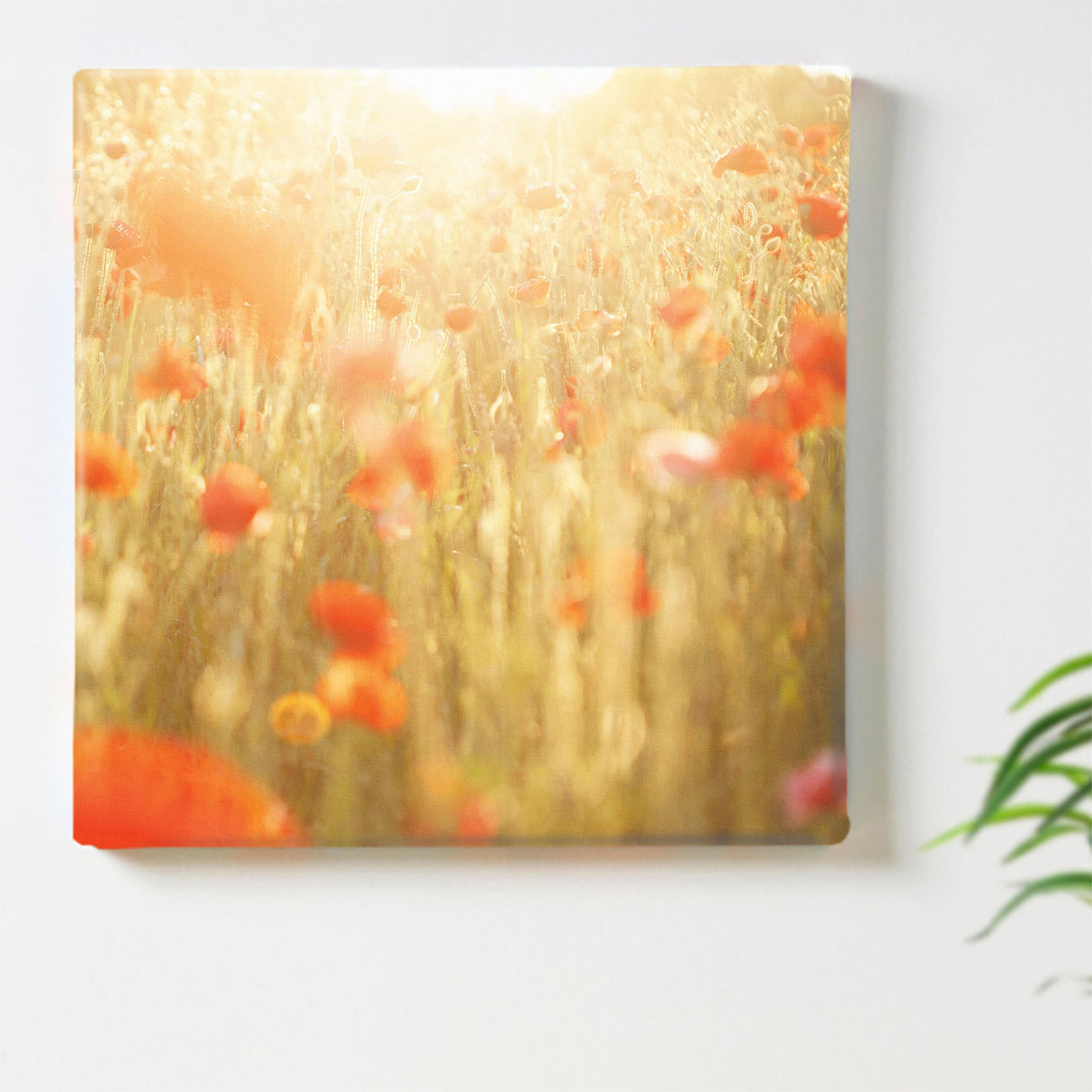 ポピーのファブリックボード インテリア雑貨 アートパネル キャンバス 花 レッド nori-2005-009 - ArtDeli. アートパネル専門店