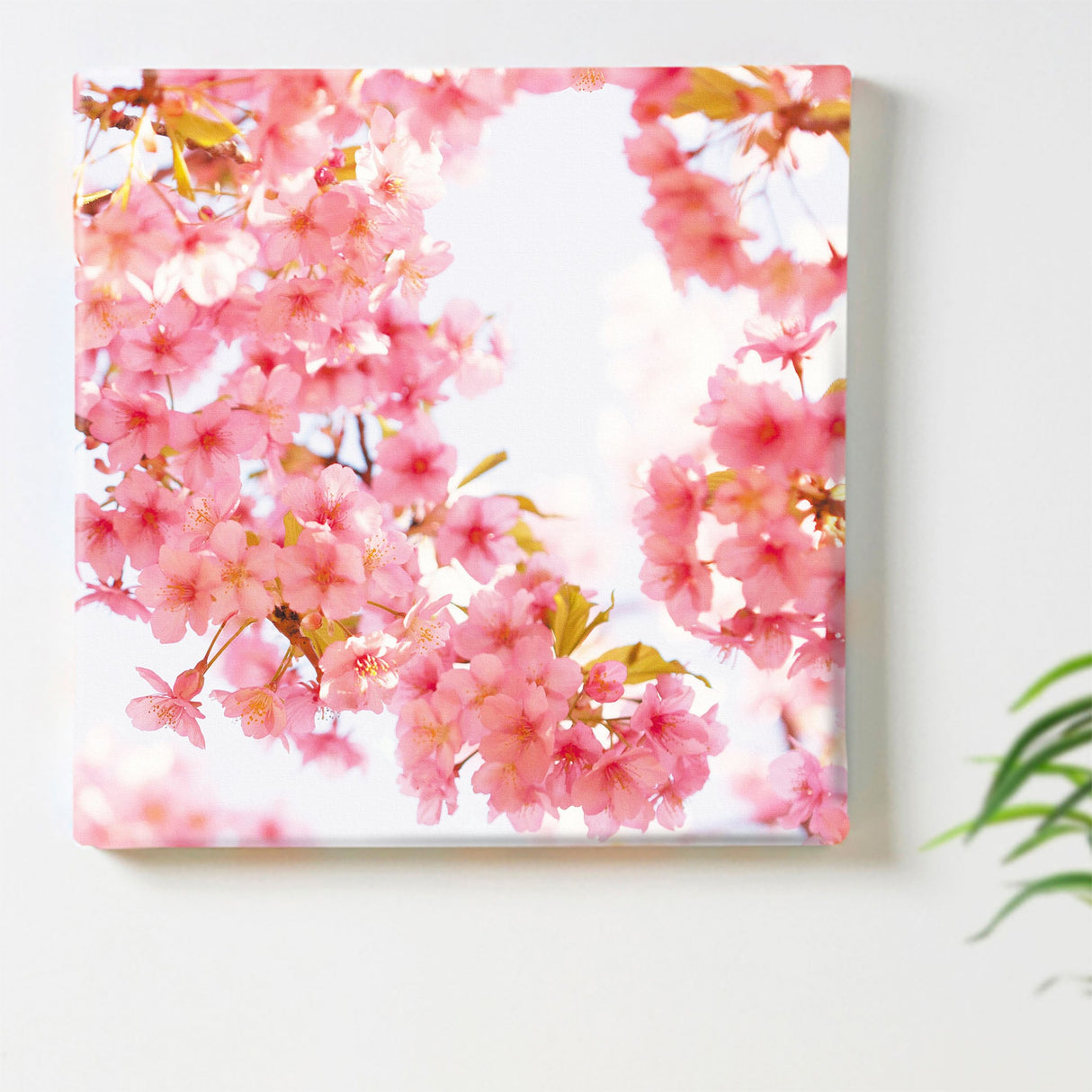 桜のファブリックボード インテリア雑貨 アートパネル キャンバス 花 ピンク nori-2005-010 - ArtDeli. アートパネル専門店