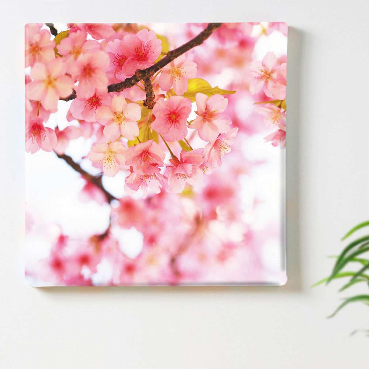 桜のファブリックパネルセット インテリア雑貨 アートパネル キャンバス 花 ピンク nori-2005-011 - ArtDeli. アートパネル専門店