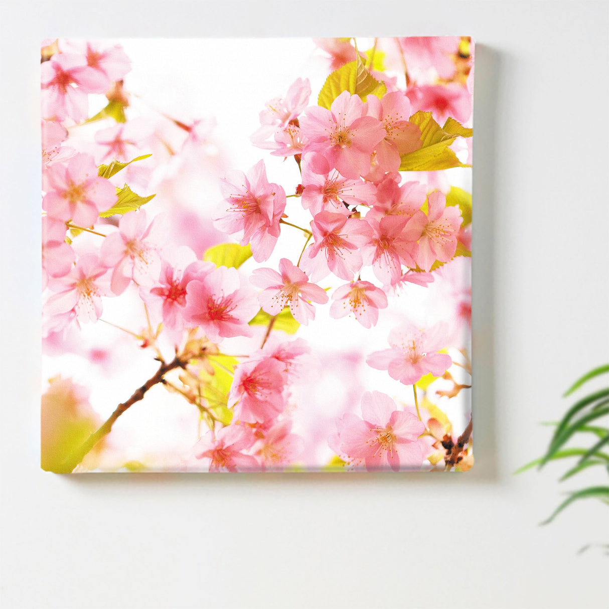 桜のウォールデコセット インテリア雑貨 アートパネル キャンバス 花 ピンク nori-2005-013 - ArtDeli. アートパネル専門店