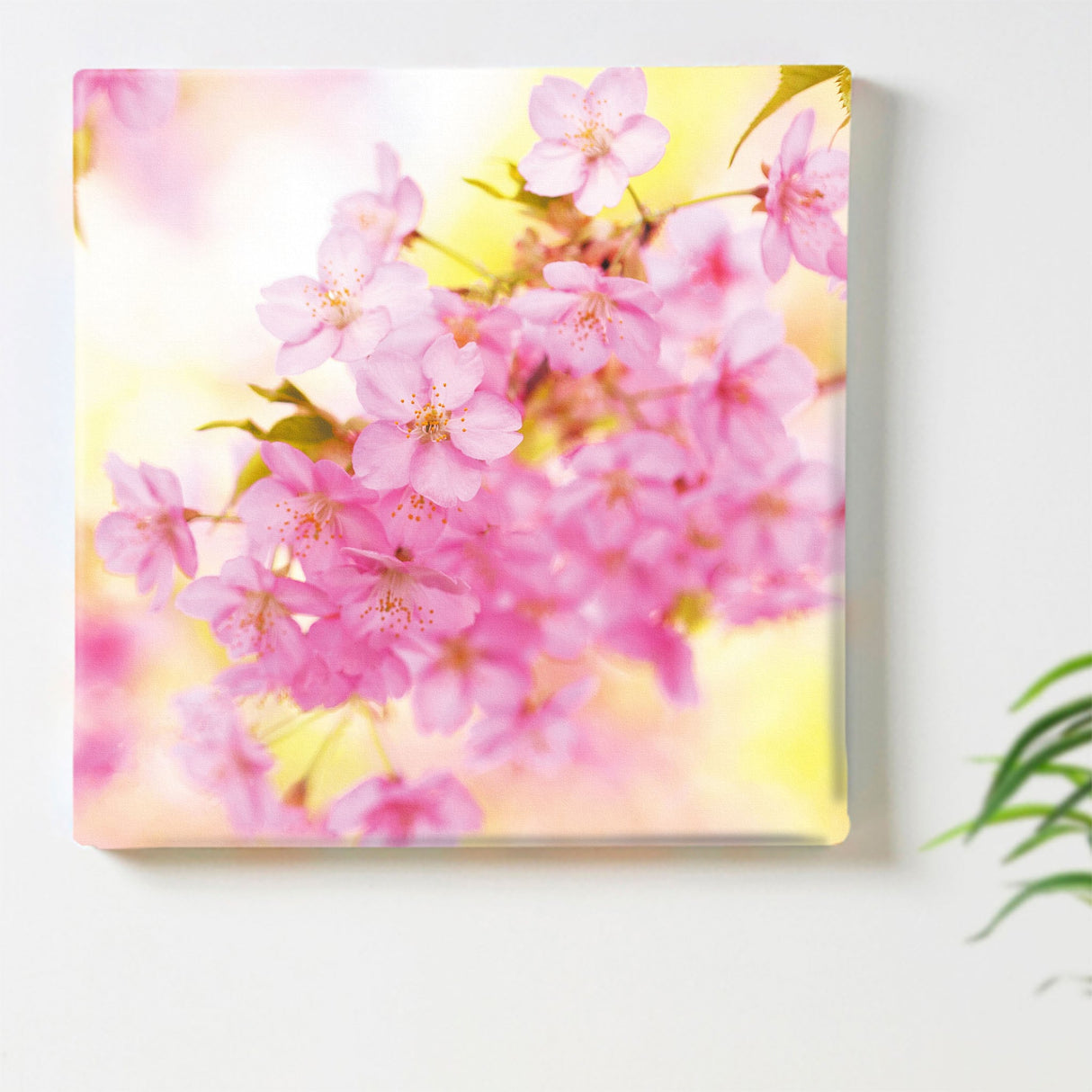 桜のファブリックパネルセット インテリア雑貨 アートパネル キャンバス 花 ピンク nori-2005-014 - ArtDeli. アートパネル専門店