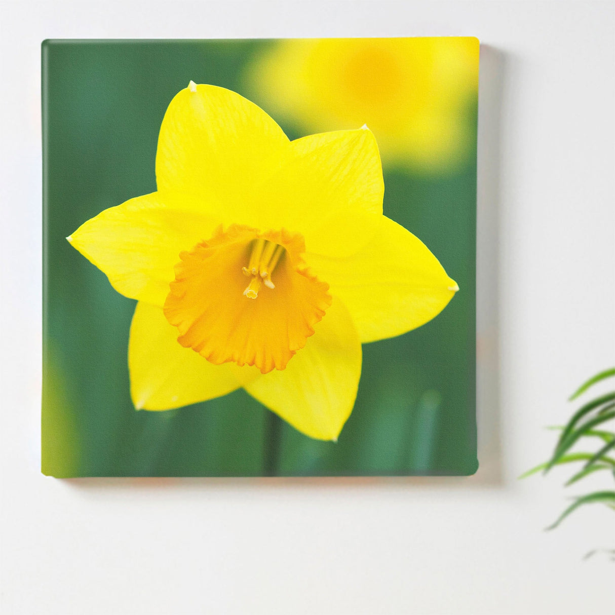 水仙のアートパネルセット インテリア雑貨 アートパネル キャンバス 花 イエロー nori-2005-015 - ArtDeli. アートパネル専門店