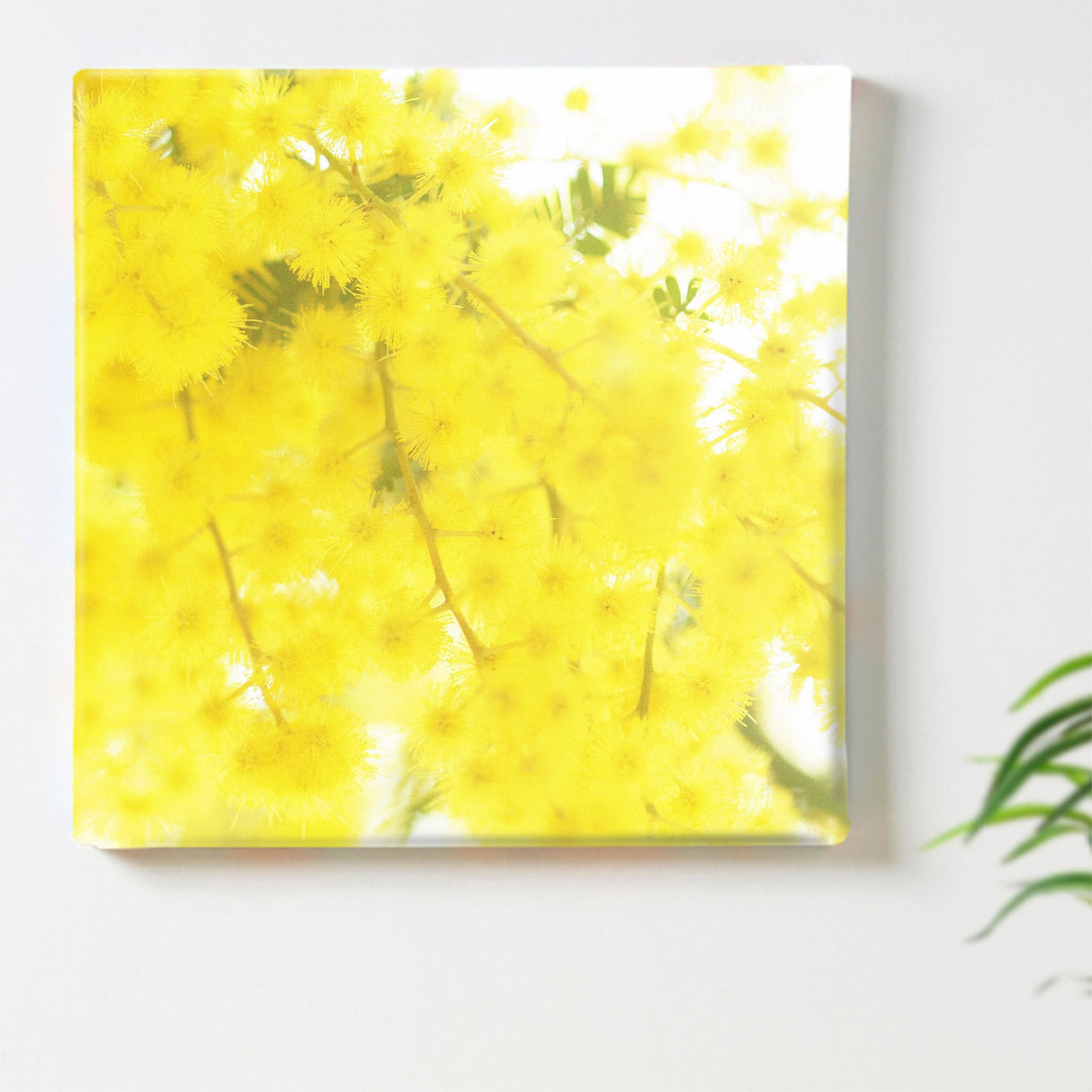 ミモザの壁掛けアートセット インテリア雑貨 アートパネル キャンバス 花 イエロー nori-2005-016 - ArtDeli. アートパネル専門店