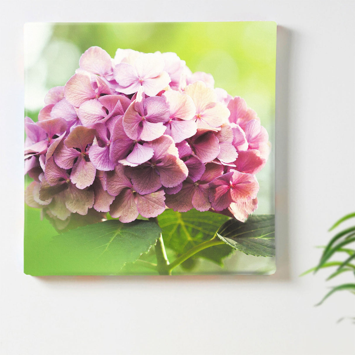 アジサイの壁掛けアートセット インテリア雑貨 アートパネル キャンバス 花 パープル nori-2005-017 - ArtDeli. アートパネル専門店