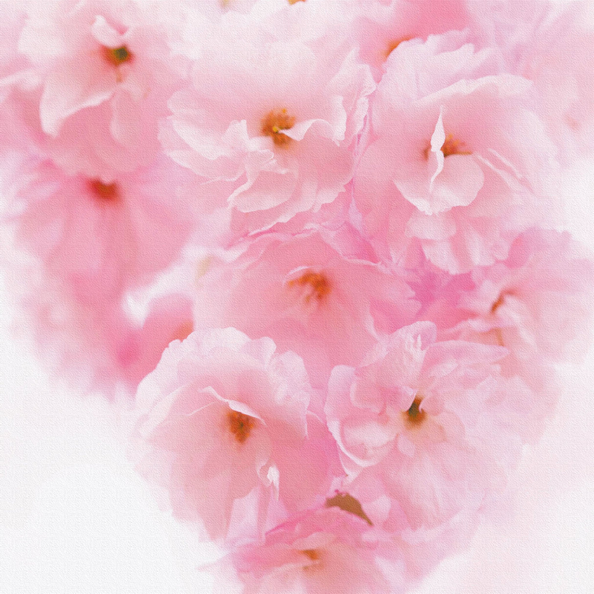 桜の壁掛けアートセット インテリア雑貨 アートパネル キャンバス 花 ピンク nori-2005-018 - ArtDeli. アートパネル専門店