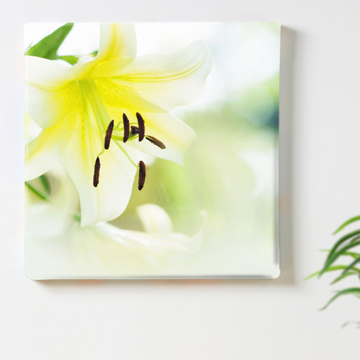 ユリのファブリックパネルセット インテリア雑貨 アートパネル キャンバス 花 ホワイト nori-2005-020 - ArtDeli. アートパネル専門店