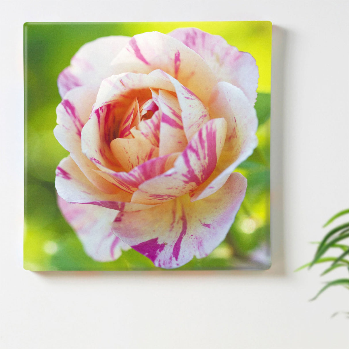 バラのファブリックパネルセット インテリア雑貨 アートパネル キャンバス 花 ピンク nori-2005-022 - ArtDeli. アートパネル専門店