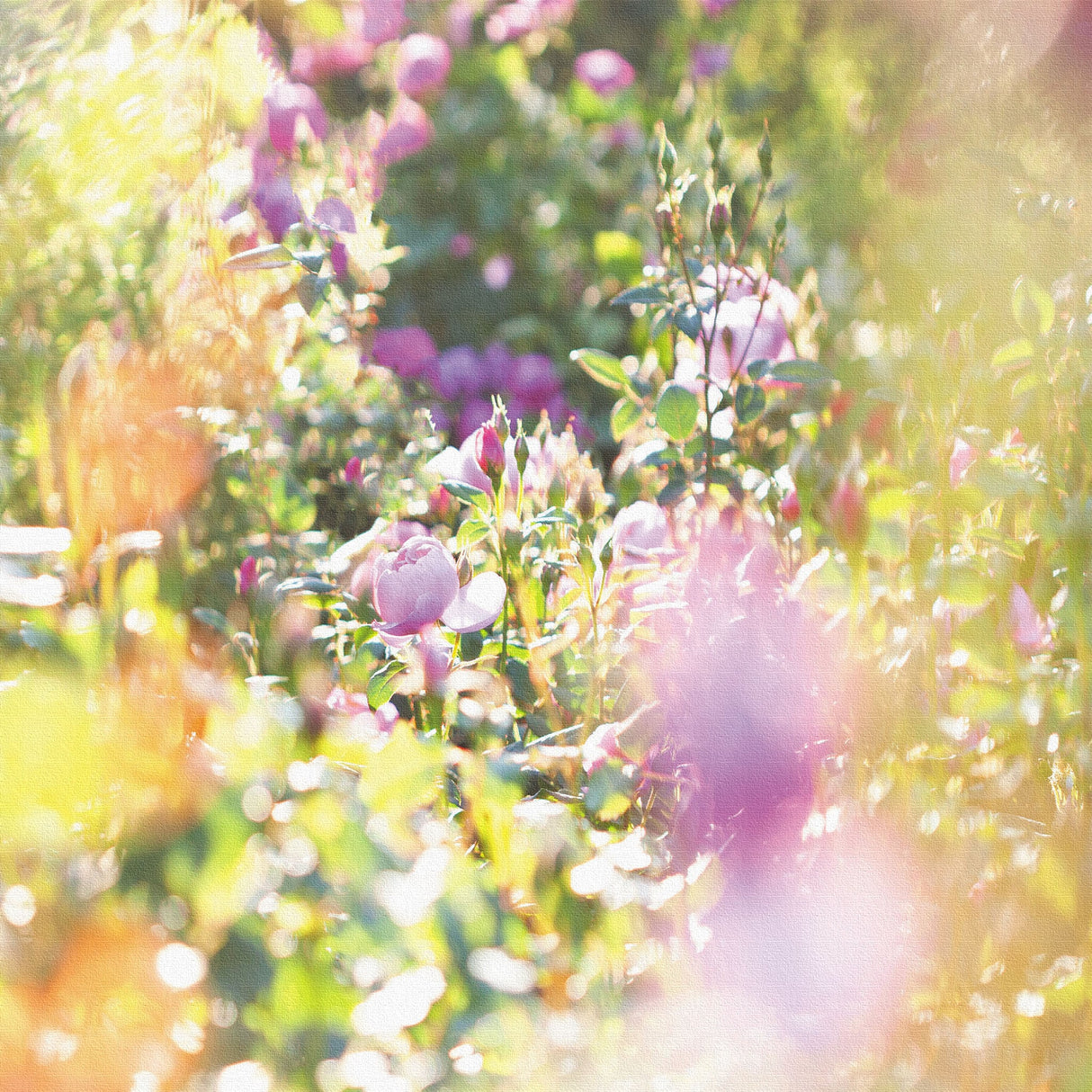 バラのアートパネルセット インテリア雑貨 アートパネル キャンバス 花 グリーン nori-2005-023 - ArtDeli. アートパネル専門店