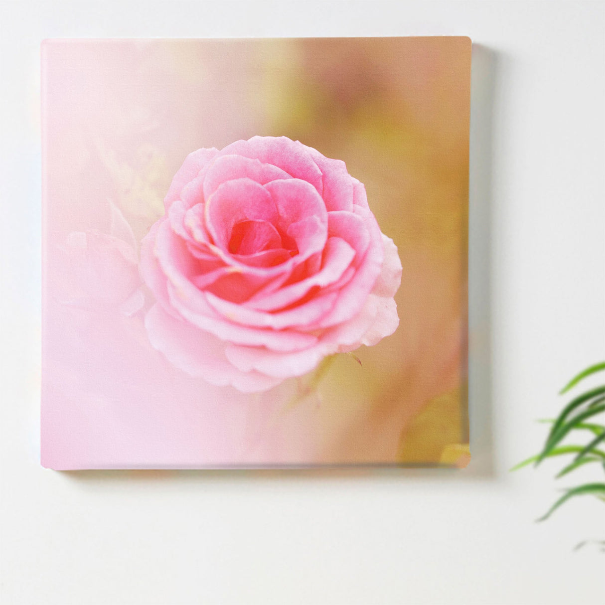 バラの壁掛けアートセット インテリア雑貨 アートパネル キャンバス 花 ピンク nori-2005-024 - ArtDeli. アートパネル専門店