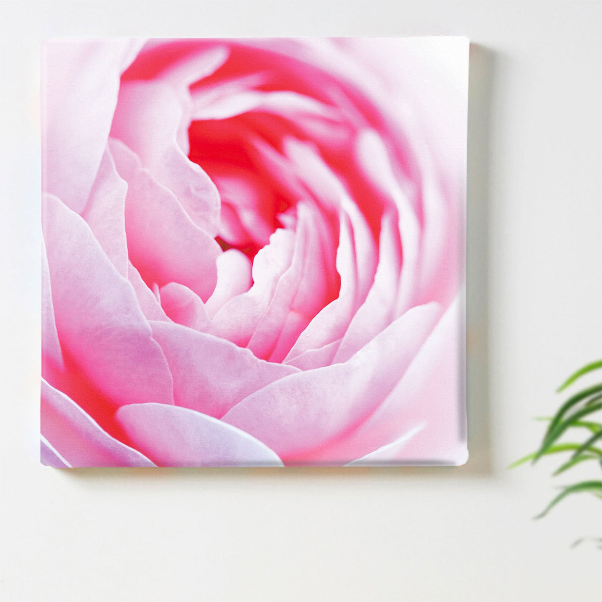 バラのファブリックボードセット インテリア雑貨 アートパネル キャンバス 花 ピンク nori-2005-025 - ArtDeli. アートパネル専門店