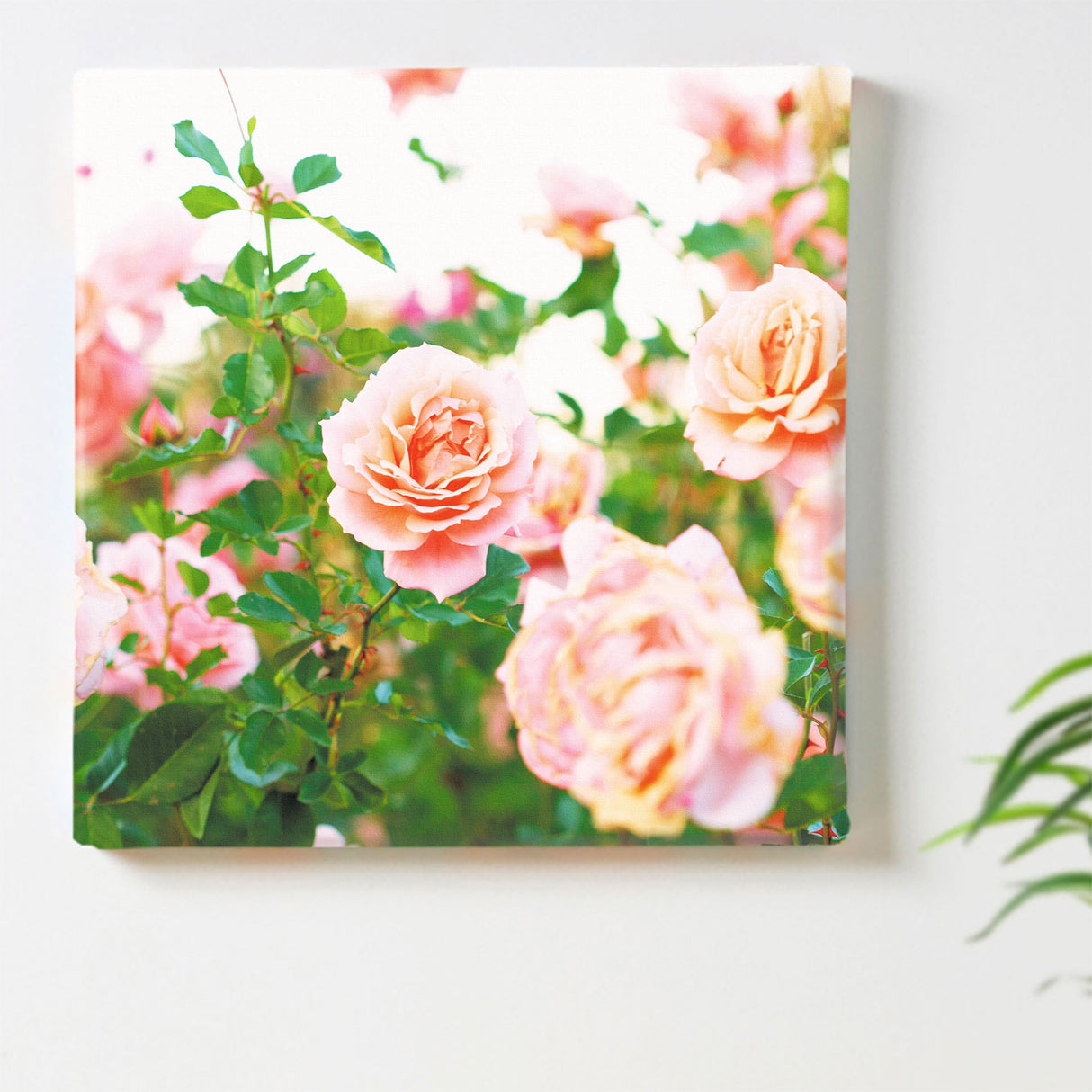 バラのファブリックボードセット インテリア雑貨 アートパネル キャンバス 花 ピンク nori-2005-026 - ArtDeli. アートパネル専門店