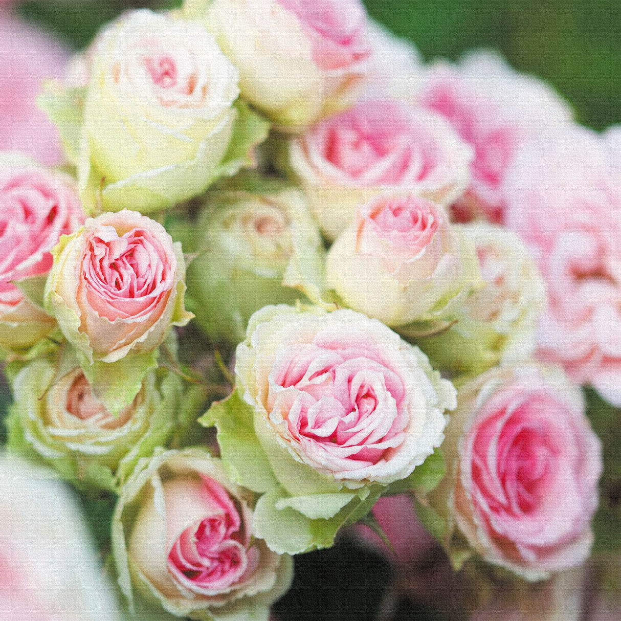 バラのファブリックパネルセット インテリア雑貨 アートパネル キャンバス 花 ピンク nori-2005-028 - ArtDeli. アートパネル専門店