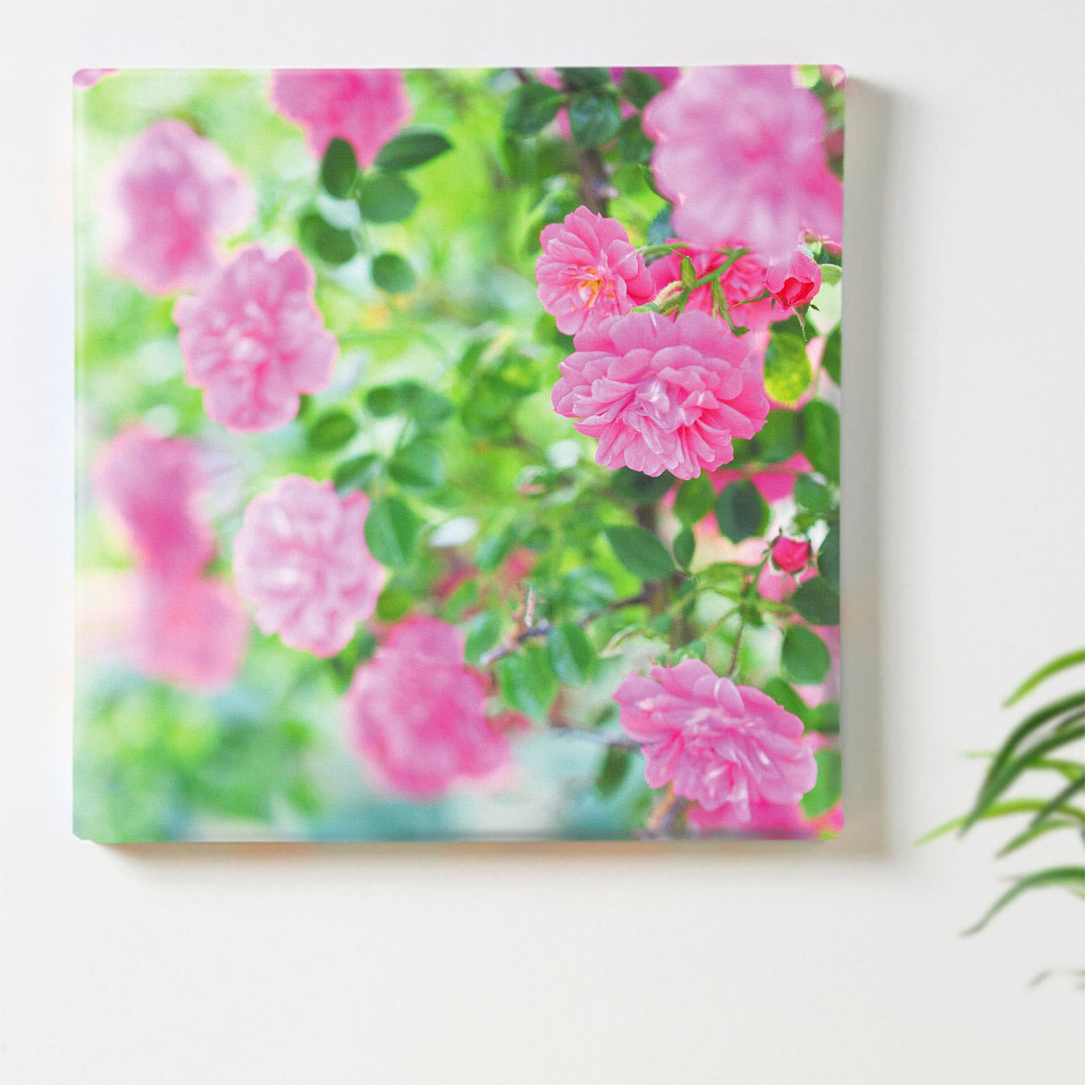 バラのウォールデコセット インテリア雑貨 アートパネル キャンバス 花 ピンク nori-2005-029 - ArtDeli. アートパネル専門店