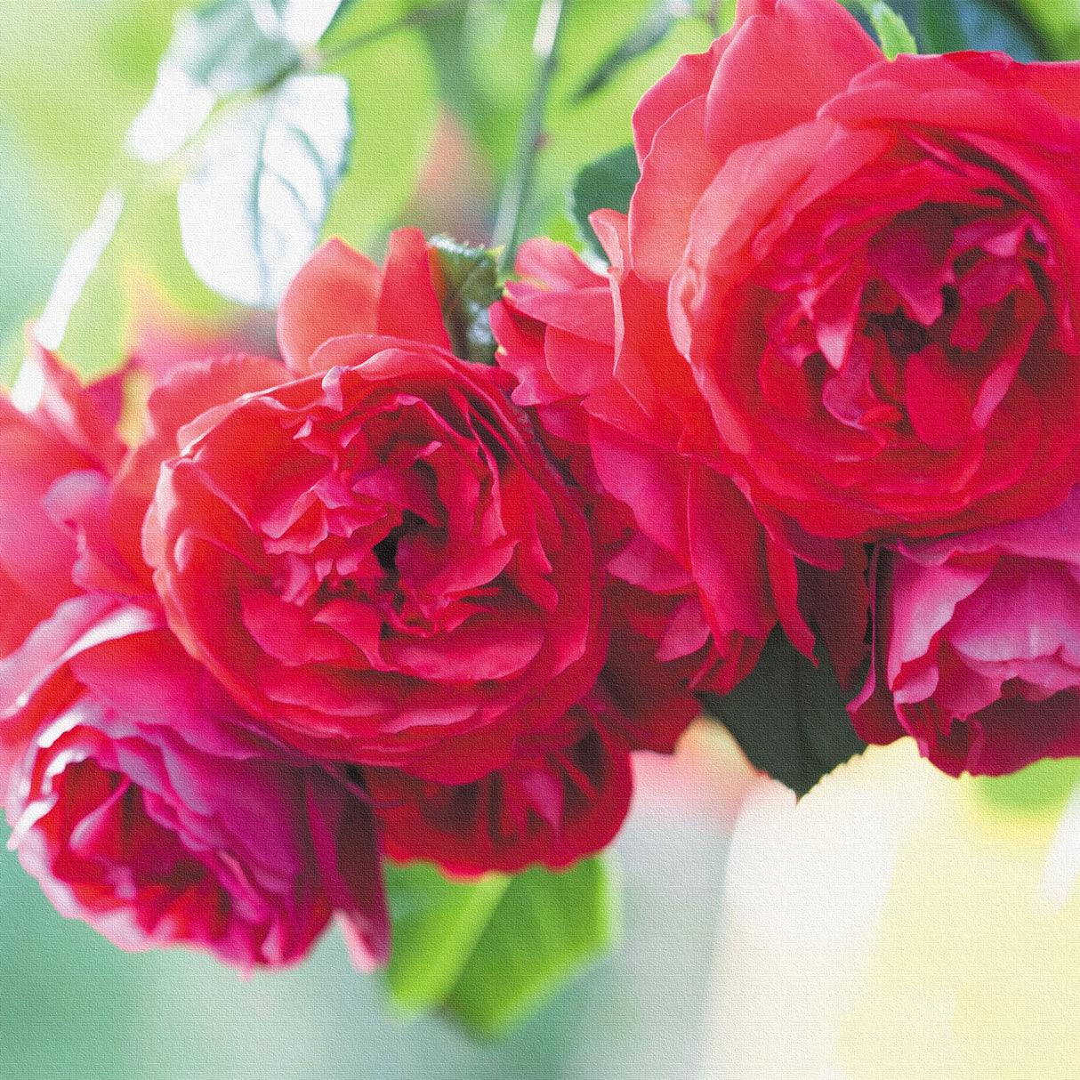 バラのアートパネルセット インテリア雑貨 アートパネル キャンバス 花 レッド nori-2005-031 - ArtDeli. アートパネル専門店