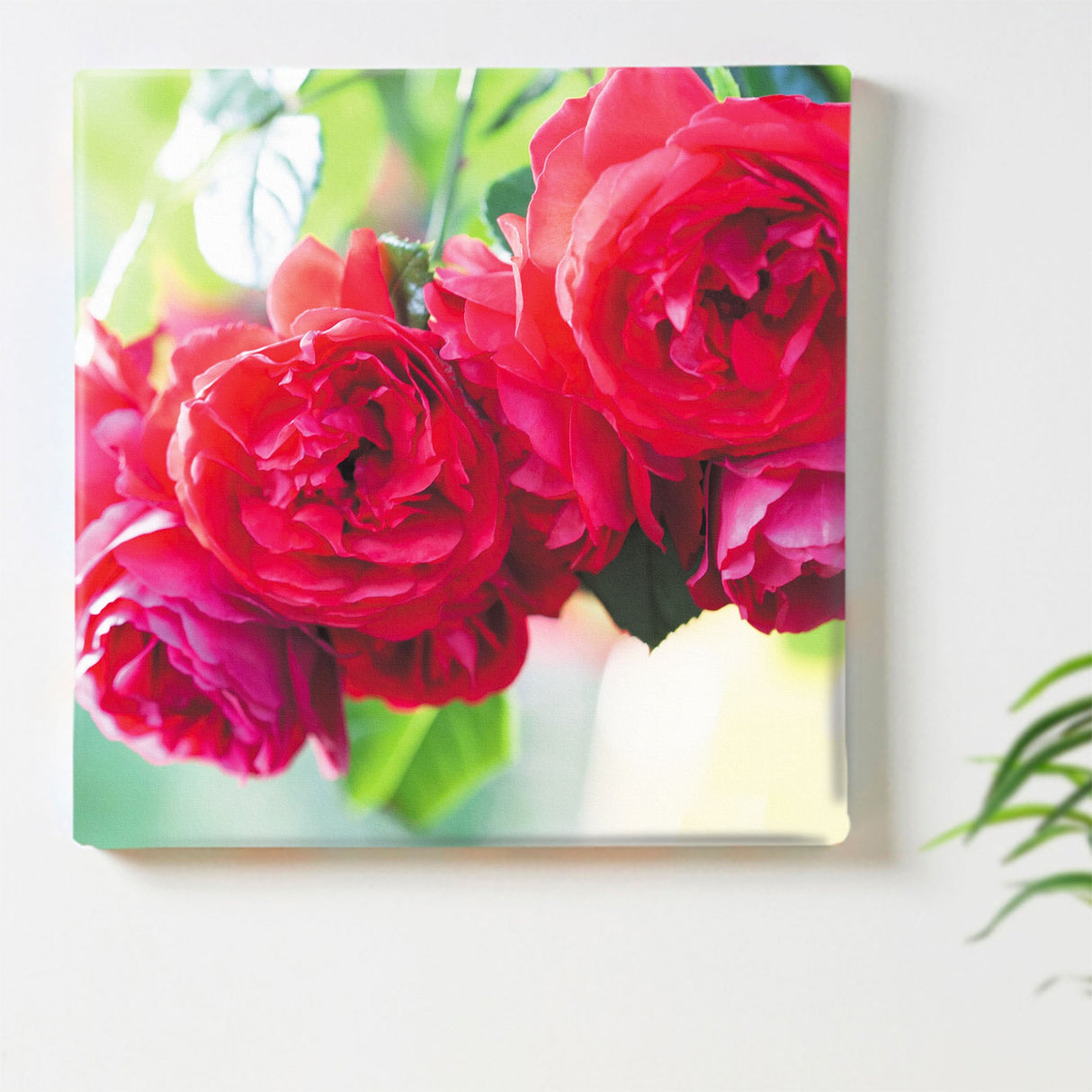 バラのアートパネルセット インテリア雑貨 アートパネル キャンバス 花 レッド nori-2005-031 - ArtDeli. アートパネル専門店