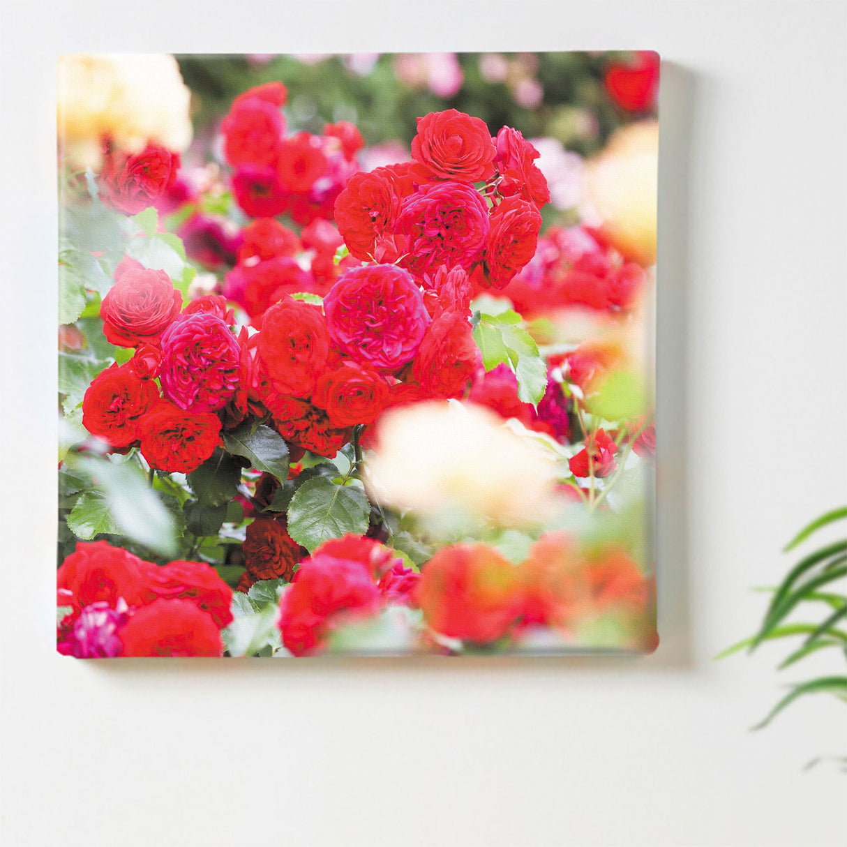 バラの壁掛けアートセット インテリア雑貨 アートパネル キャンバス 花 レッド nori-2005-032 - ArtDeli. アートパネル専門店