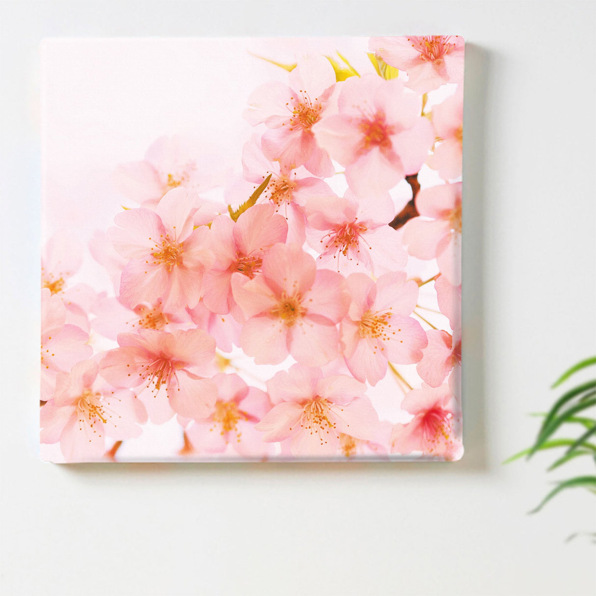 桜の壁掛けアートセット インテリア雑貨 アートパネル キャンバス 花 ピンク nori-2005-033 - ArtDeli. アートパネル専門店