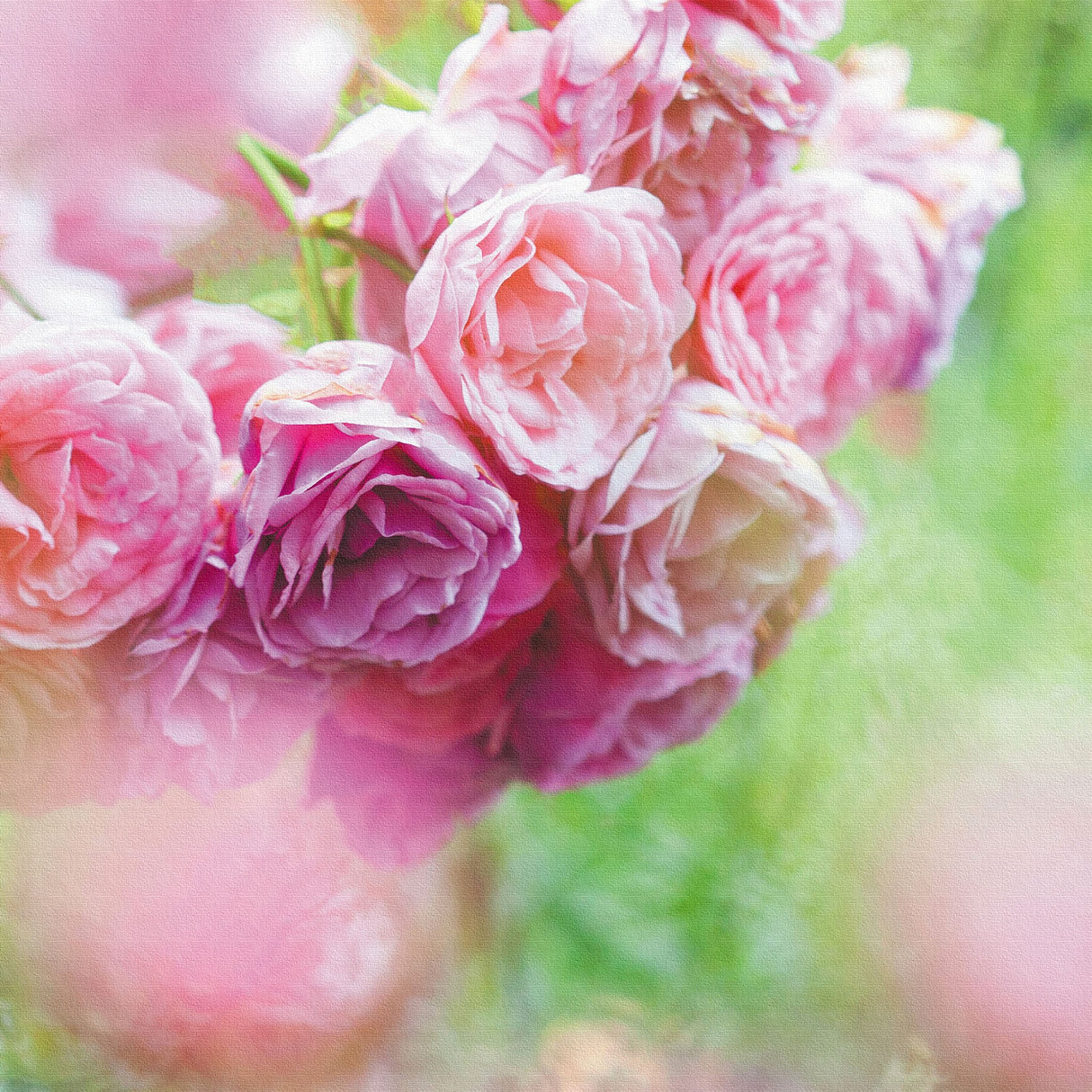 バラの壁掛けアートセット インテリア雑貨 アートパネル キャンバス 花 ピンク nori-2005-034 - ArtDeli. アートパネル専門店