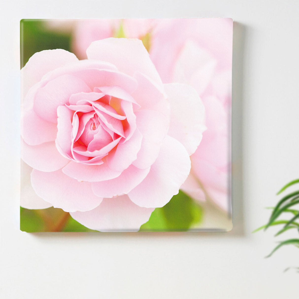 バラのファブリックボードセット インテリア雑貨 アートパネル キャンバス 花 ピンク nori-2005-035 - ArtDeli. アートパネル専門店