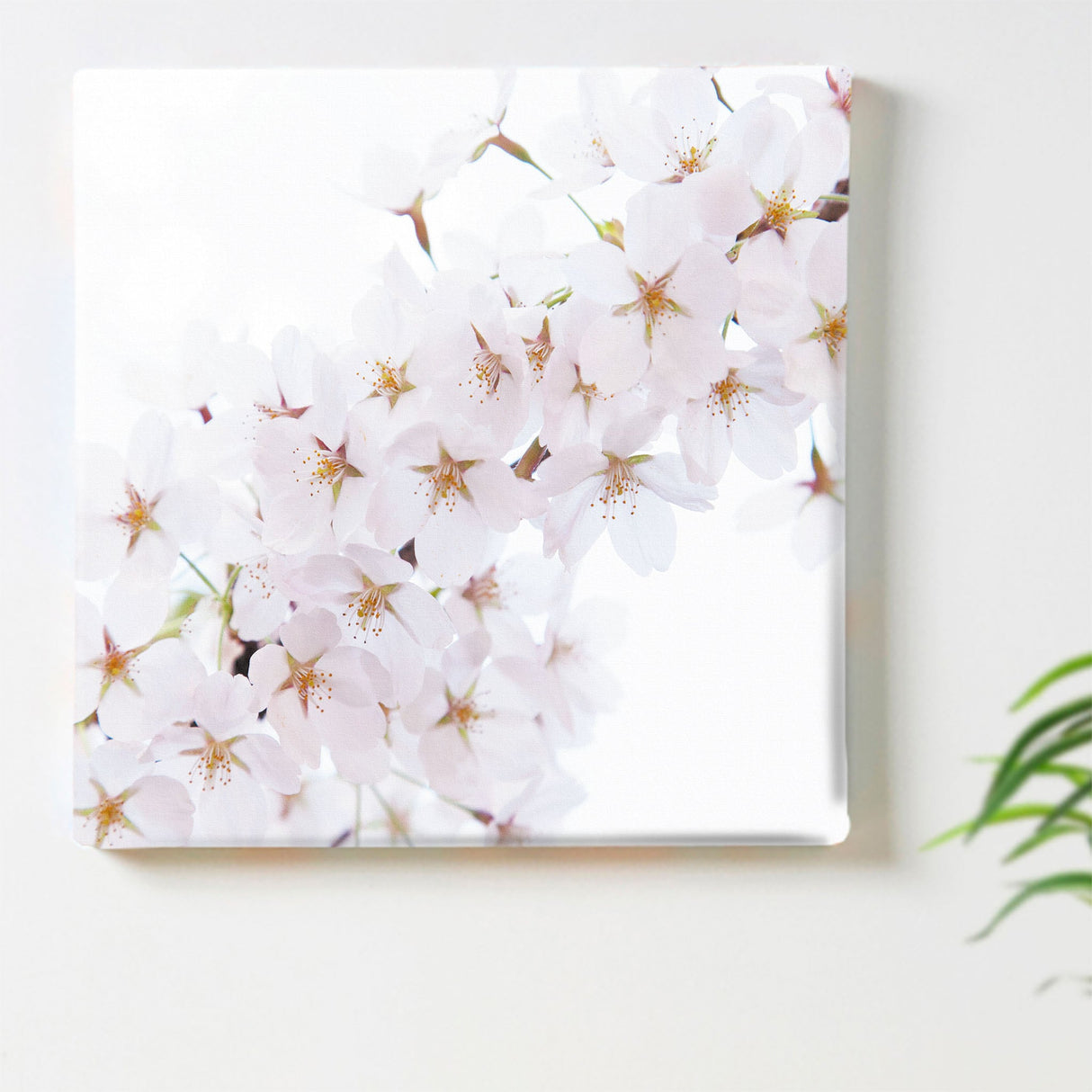 桜のファブリックパネルセット インテリア雑貨 アートパネル キャンバス 花 ホワイト nori-2005-036 - ArtDeli. アートパネル専門店