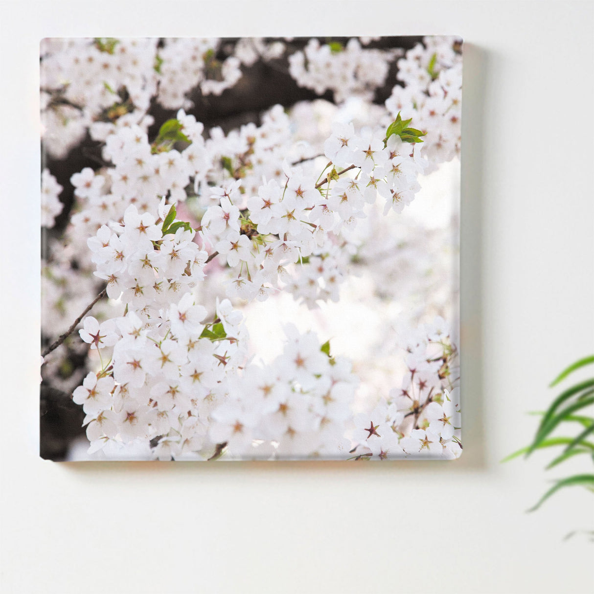 桜のファブリックパネルセット インテリア雑貨 アートパネル キャンバス 花 ホワイト nori-2005-037 - ArtDeli. アートパネル専門店