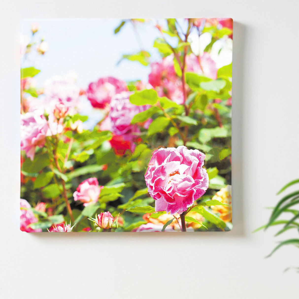 バラのアートパネルセット インテリア雑貨 アートパネル キャンバス 花 グリーン nori-2005-038 - ArtDeli. アートパネル専門店